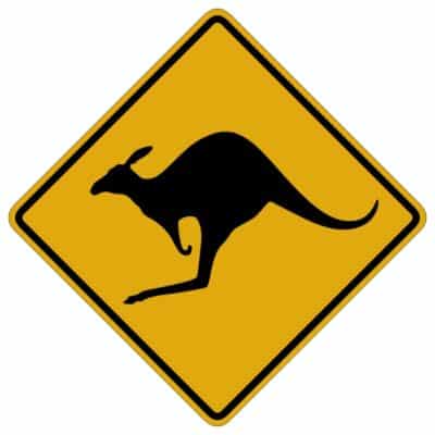 وکتور هشدار عبور کانگورو